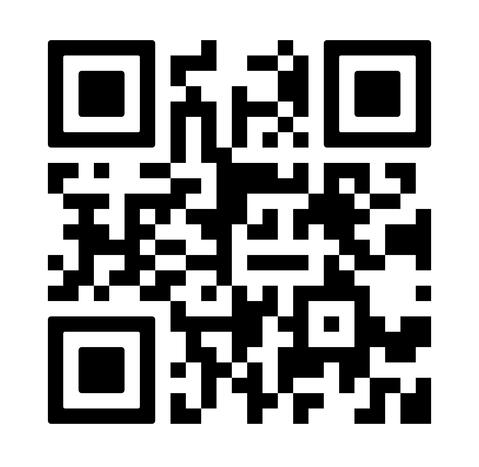 DigitPres builds and manages your professional digital identity with clarity and zero technical stress. High-quality web presence for businesses and artists.